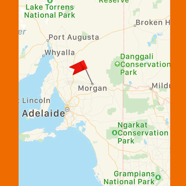 Merino Sheep Association | Australia